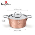 BH-8003_infographics_1